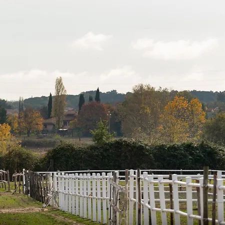 La Pineta Appartement