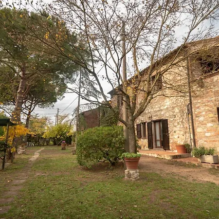 La Pineta *