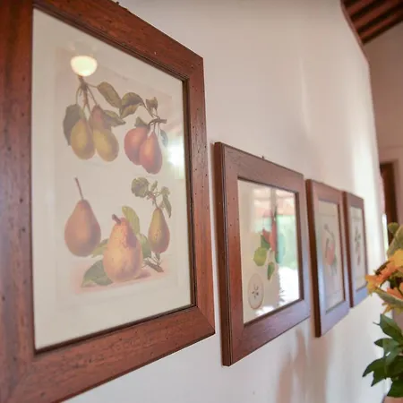 Appartement La Pineta Piana