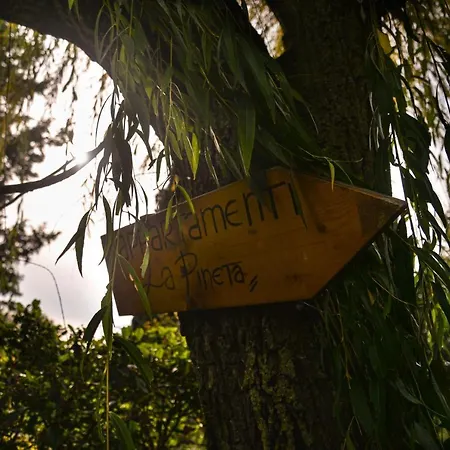 La Pineta Apartamento Piana