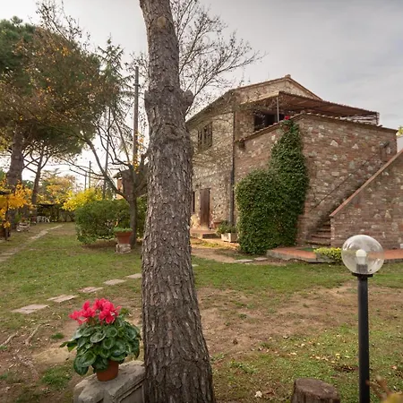 La Pineta *