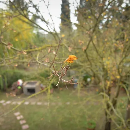 Apartamento La Pineta Piana