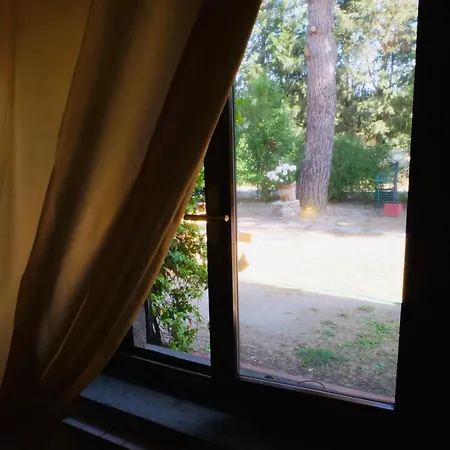 La Pineta Apartment Piana