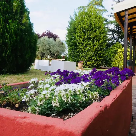 La Pineta