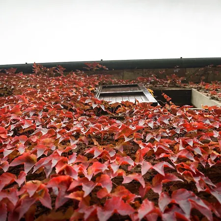 La Pineta Διαμέρισμα Piana