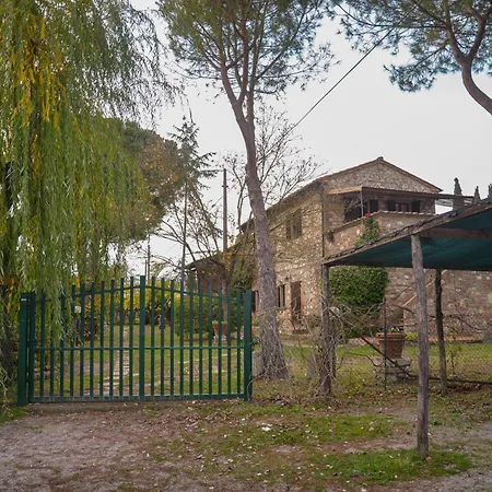 La Pineta *