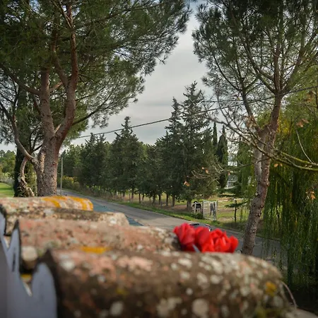 La Pineta * Piana