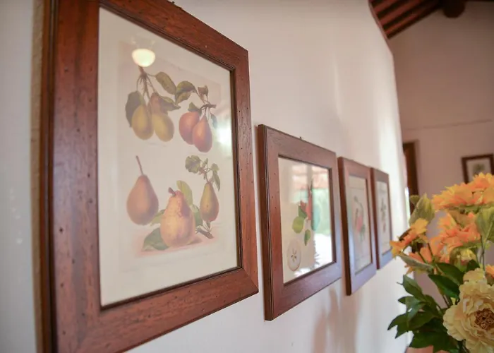 Lägenhet La Pineta Piana