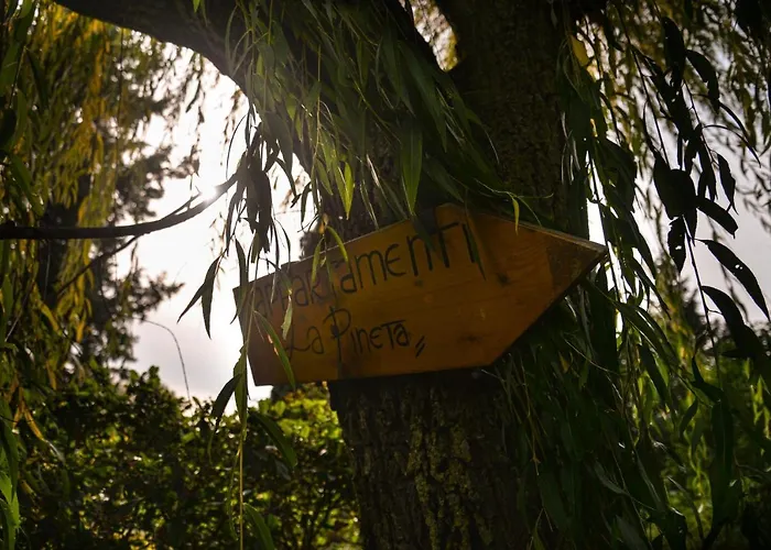 La Pineta Lägenhet Piana