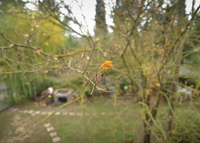 Lägenhet La Pineta Piana